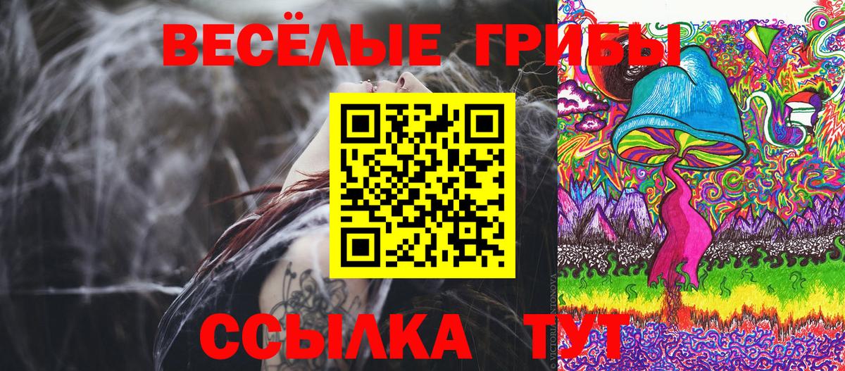 Феодосия  Галлюциногенные грибы Magic Shrooms  Вход с VPN  Галлюциногенные грибы Psilocybine cubensis 